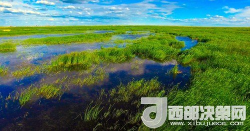 呼倫湖濕地。吳勇攝