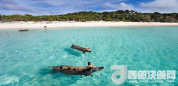 全球最佳海灘榜單出爐 我們選了10個來好好介紹