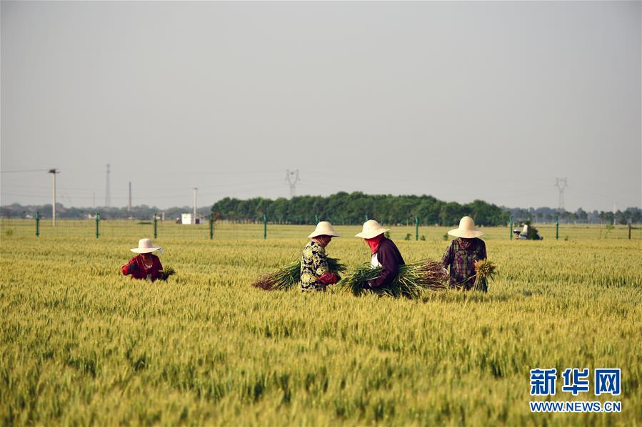 （新華全媒頭條·迎接兩會(huì)特別報(bào)道·圖文互動(dòng)）（1）不同尋常的兩會(huì) 萬眾一心的力量——寫在2020年全國(guó)兩會(huì)召開之際