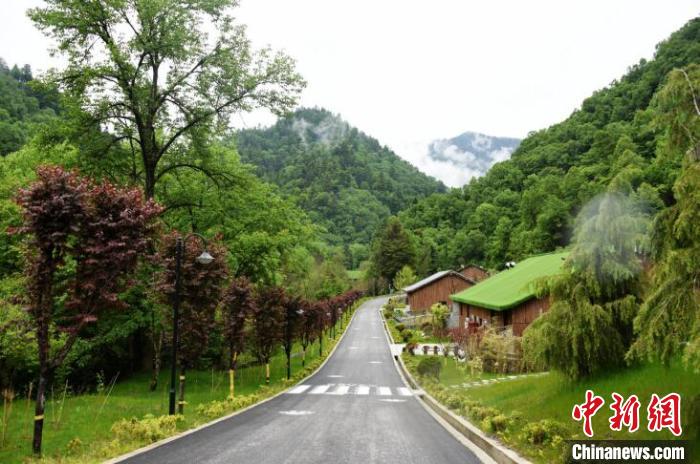 九寨溝熊貓園外景?！【耪瘻峡h委宣傳部提供 攝