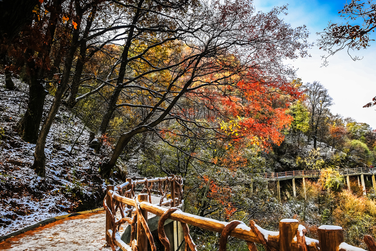 【云游渭南】待到春暖花開(kāi)之時(shí)，我們相約草長(zhǎng)鶯飛的少華山！_fororder_冬雪初吻